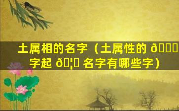 土属相的名字（土属性的 🐋 字起 🦁 名字有哪些字）